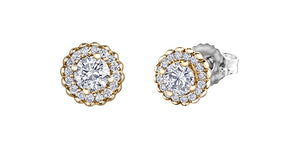 Stud Earrings 14kt Yellow Gold -Maple Leaf Diamonds | ML912Y38