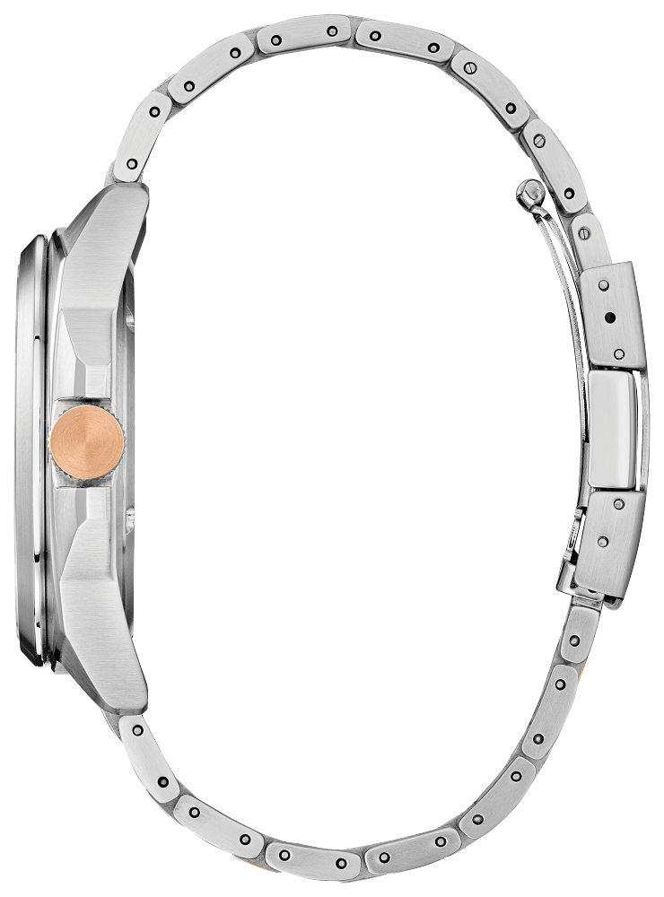 Citizen Endicott | AW1726-55L – Assaleh Joailleries - Jewellers