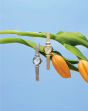 Load image into Gallery viewer, Citizen Eco-Drive Fio | EG7086-57P