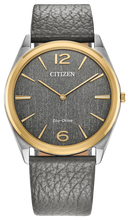 Load image into Gallery viewer, Citizen Eco-Drive Suratto | AR3124-07H