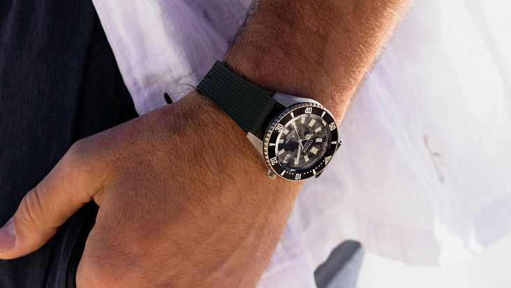 Citizen pro diver watch online