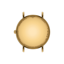 Load image into Gallery viewer, Tissot Everytime Gent | T1434103302100