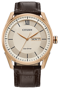 Citizen Eco-Drive Classic | AW0082-01A