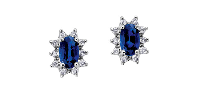 Earring 10kt white gold Diamond & Sapphire earrings | DD2469