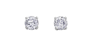 Stud Earrings - Canadian Diamonds  -  14kt White Gold | AM101W40