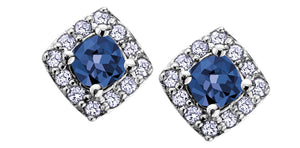 Earrings -  Diamond & Sapphire - 10kt White Gold | DX566SA