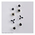 Stud Earrings - 10Kt White Gold - Sapphire | DX606WSA