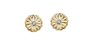 Earrings 10Kt yellow gold - Diamond | DD8086Y