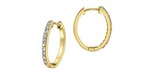 Load image into Gallery viewer, Earrings - Diamonds - 10kt Yellow Gold | DX968Y25
