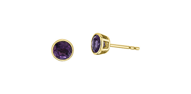 Earrings - Amethyst - 10kt Yellow Gold | DX959YAM