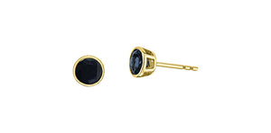 Earrings - Sapphire - 10kt Yellow Gold | DX959YSA