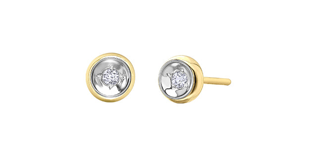 Diamond earrings 10Kt yellow gold | DD8089Y