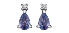 Charger l&#39;image dans la galerie, Diamond &amp; Tanzanite earrings 10Kt white gold | DD7965WTZ
