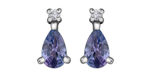 Diamond & Tanzanite earrings 10Kt white gold | DD7965WTZ