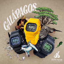 Charger l&#39;image dans la galerie, Casio G-Shock | GWB5600CD-1A3
