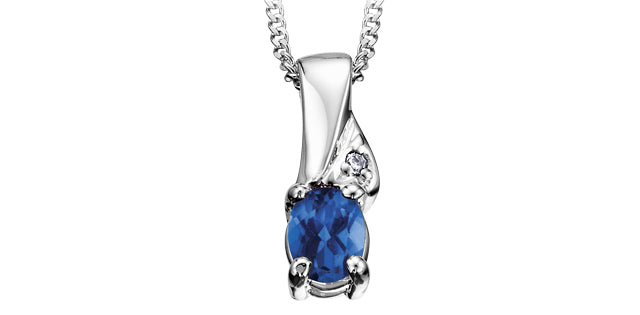 Pendant & Chain  - Natural Diamond & Sapphire - 10Kt White Gold | DX368SA