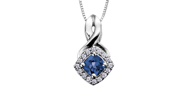 Pendant - Sapphire & Diamond - 10kt White Gold | DX567SA