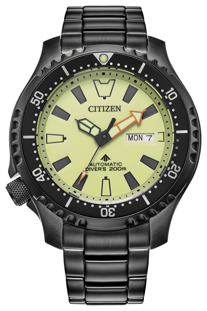 Citizen Promaster Dive Automatic NY0155 58X