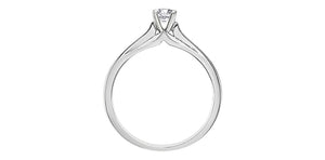 Ring - Natural Round Cut Canadian Diamond - 14Kt White Gold  | AM106W20