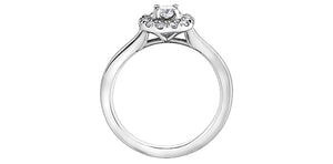 Diamonds ring - 10kt white gold | AM363W20