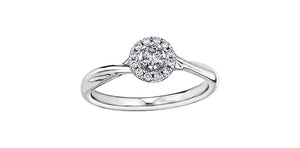 Diamonds ring - 10kt white gold | AM363W20