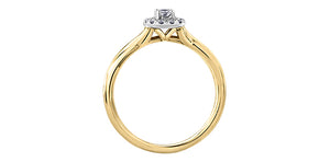 Diamonds ring - 10kt yellow & white gold | AM363YW20