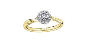 Diamonds ring - 10kt yellow & white gold | AM363YW20
