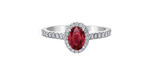 Load image into Gallery viewer, Ring - Diamonds &amp; Ruby  - 10kt White Gold | DX870WRU
