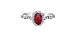 Ring - Diamonds & Ruby  - 10kt White Gold | DX870WRU