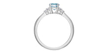 Load image into Gallery viewer, Ring - Natural Diamond &amp; Blue Topaz - 10kt white gold | DD8108WBT
