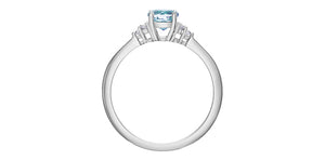 Ring - Natural Diamond & Blue Topaz - 10kt white gold | DD8108WBT