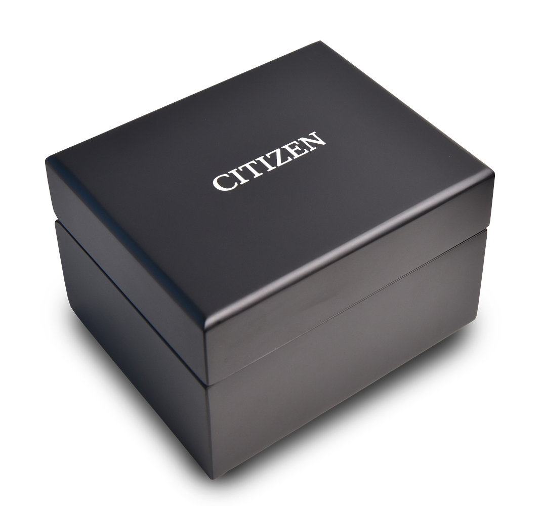 Load image into Gallery viewer, Citizen Series8 880 GMT The Seasons Winter Automatic Limited Edition | NB6035-55H