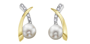 Earrings 10kt gold - Pearls & diamonds |  DD2217